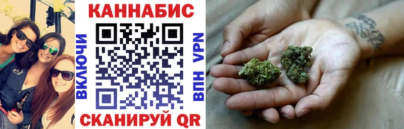 Марихуана сатива  Гай 